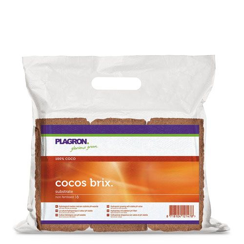 Cocos Brix PLAGRON 4G-84-302 фото