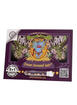 упаковка Cream Caramel Auto