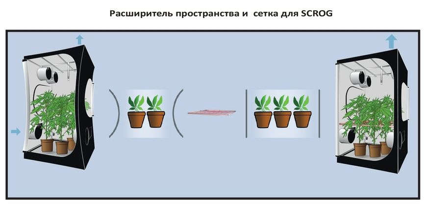 Гроубокс Dark Street DS60 v3.0 Secret Jardin 60x60x150см 4G-23-233 фото