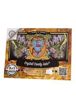 пачка семян Crystal Candy Auto