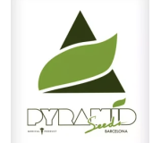 Pyramid Seeds