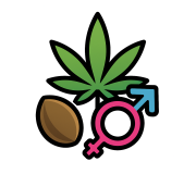 Регулярные (Regular)