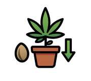 Низкие (до 100см)