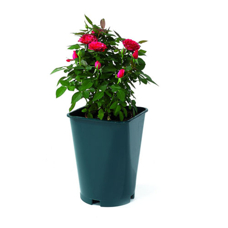 Горщик ORSA для орхідей, NPB, 22x22x27см, 11л