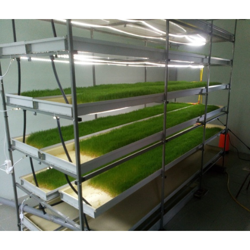 Гидропонная установка с освещением, 10кв.м.