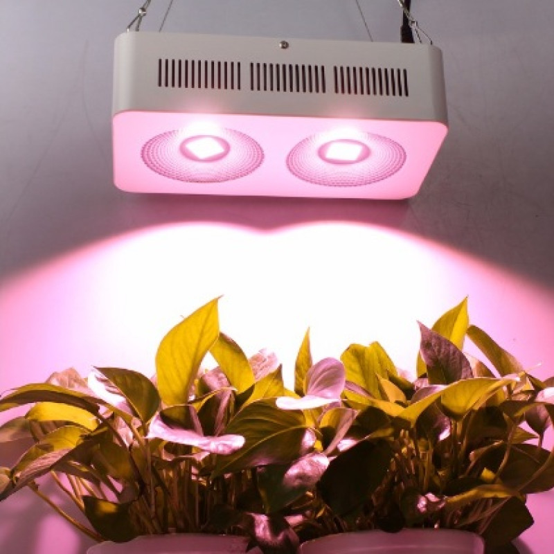 Фітолампа 400W COB Full Spectrum, PopularGrow