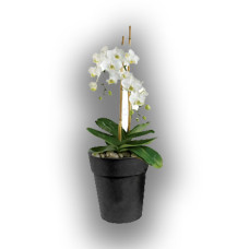 Горщик ORCHIDS, NPB, 19.5х16.5см, 3л