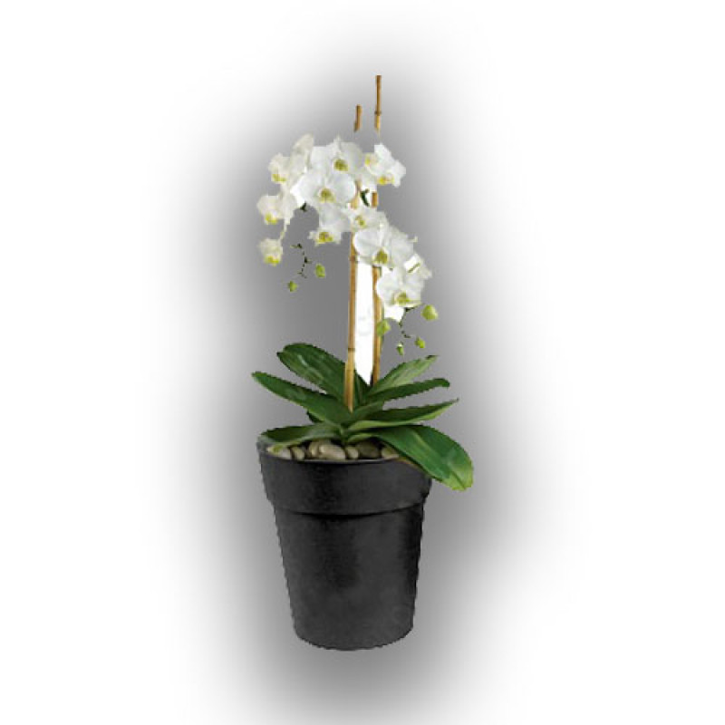 Горщик ORCHIDS, NPB, 19.5х16.5см, 3л