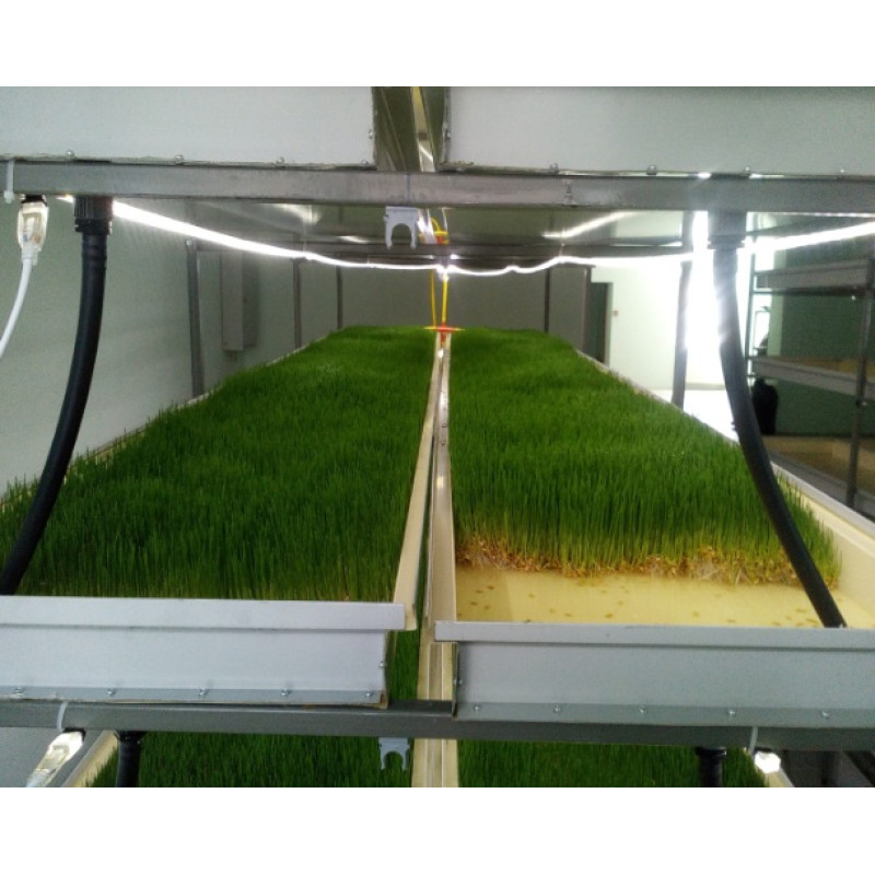 Гидропонная установка с освещением, 18кв.м.