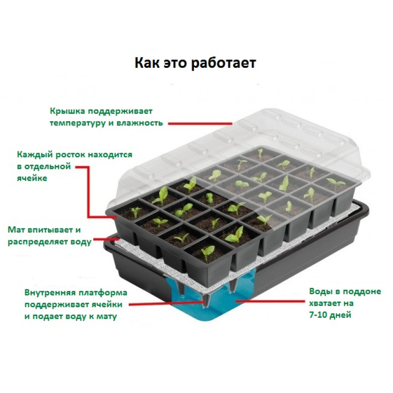 Проращиватель на 12 ячеек, Garland
