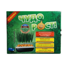 Луковичница Чудо Рост, 32x18x11см