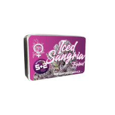 Triploid F1 Iced Sangria - Growers Choice, 5+2