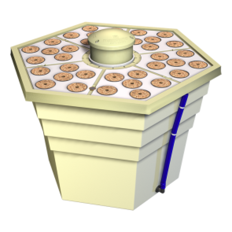 Аэропонная система RainForest