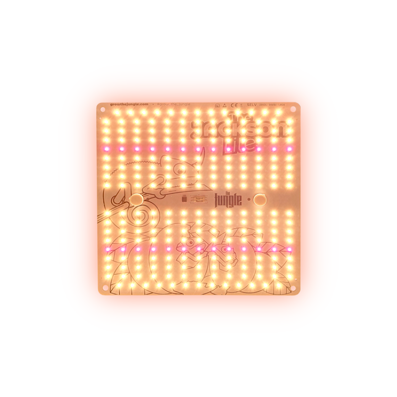 LED лампа THE JACKSON LITE 100W V1 (ручной димминг)