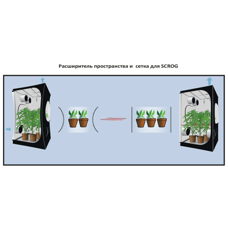 Гроубокс Dark Street DS60 v3.0