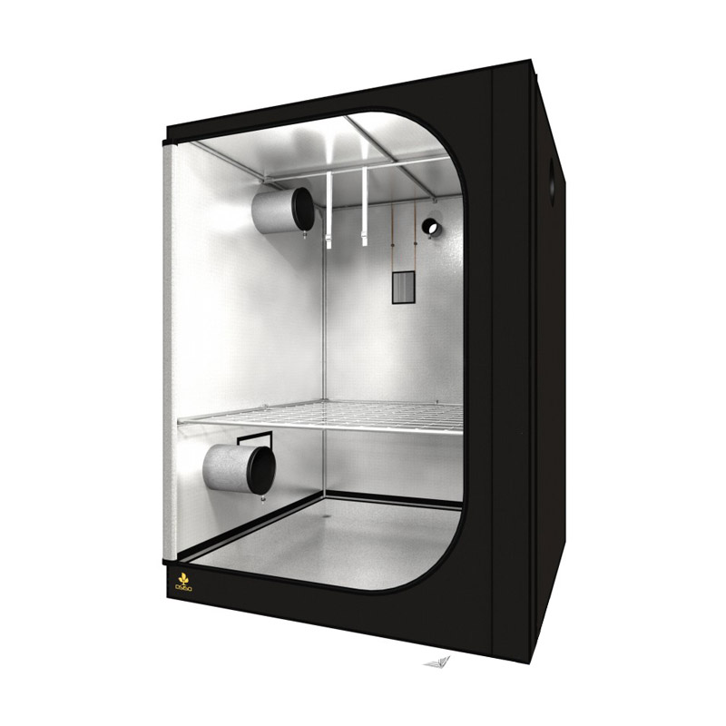 Гроубокс Dark Street DS150 v2.5