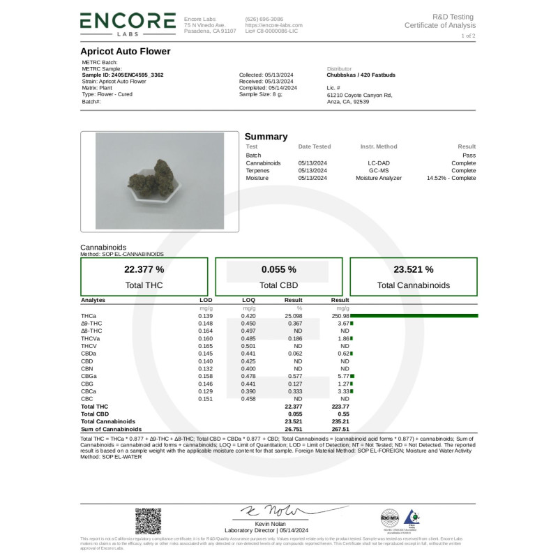 Apricot Auto - Fast Buds, 3