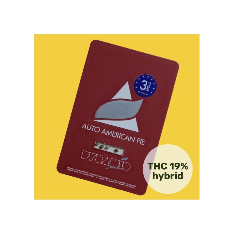 Auto American Pie - Pyramid, 3+1