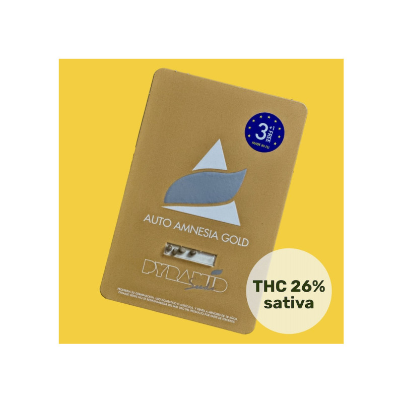 Auto Amnesia Gold - Pyramid, 3+1
