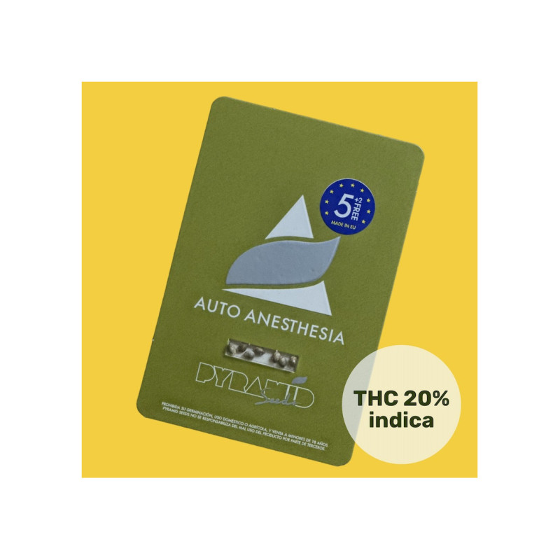 Auto Anesthesia - Pyramid, 5+2