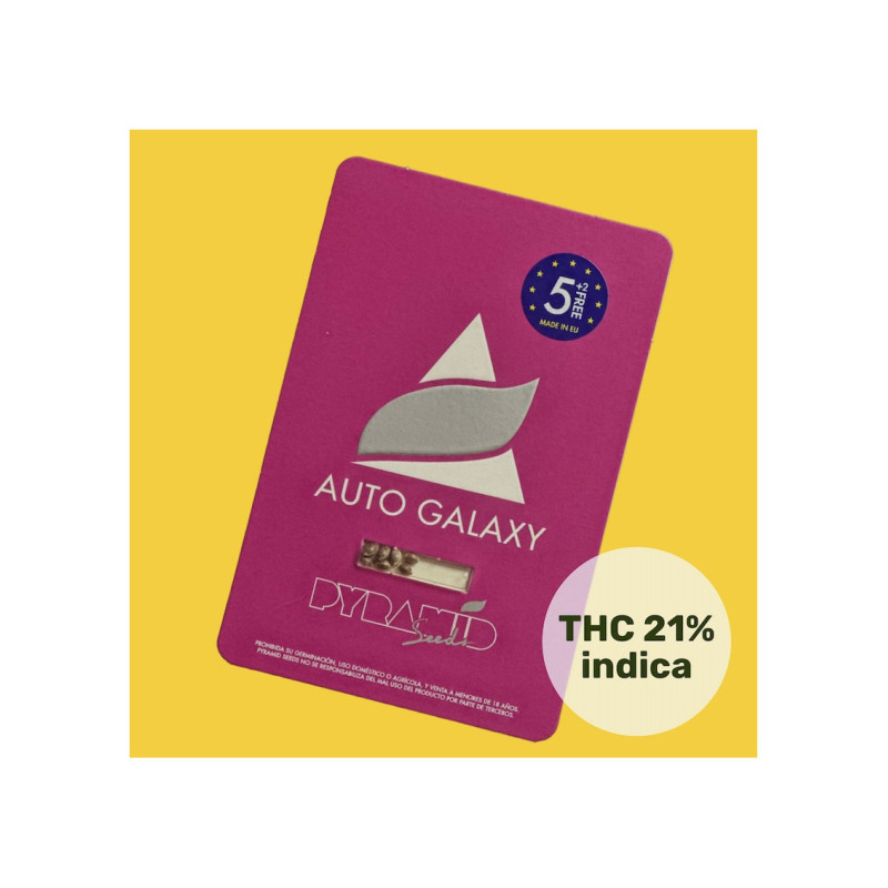 Auto Galaxy - Pyramid, 3+1