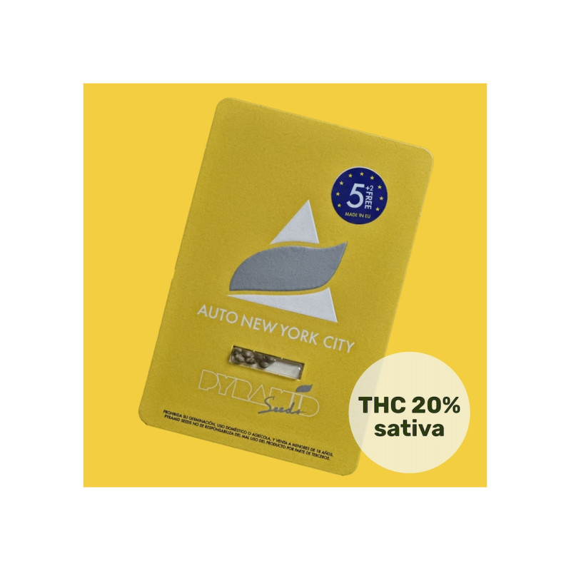 Auto New York City - Pyramid, 5+2