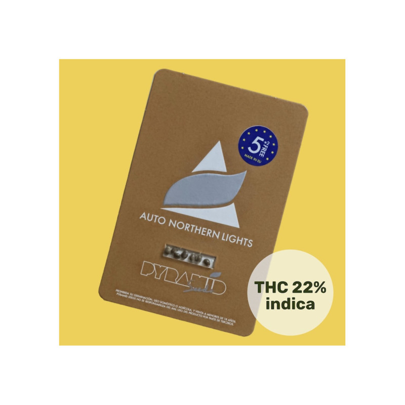 Auto Northern Lights - Pyramid, 5+2