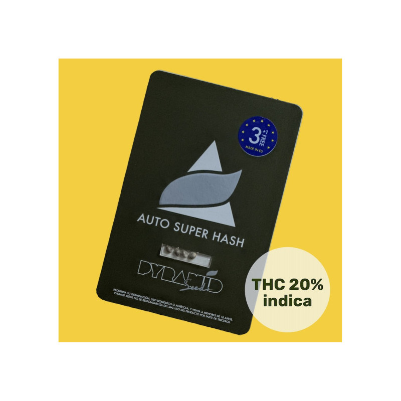 Auto Super Hash - Pyramid, 50