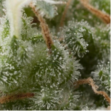 Auto Super Hash - Pyramid, 50