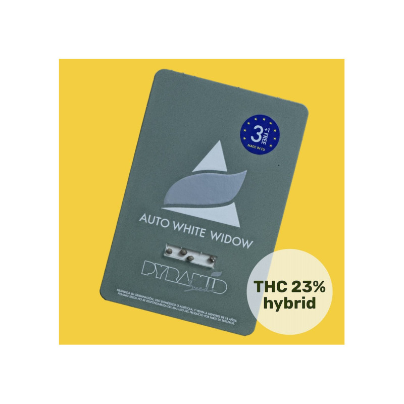 Auto White Widow - Pyramid, 50