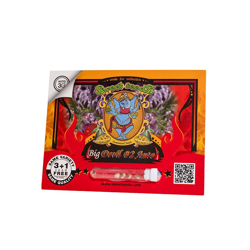 Big Devil №2 Auto - Sweet Seeds, 3+1