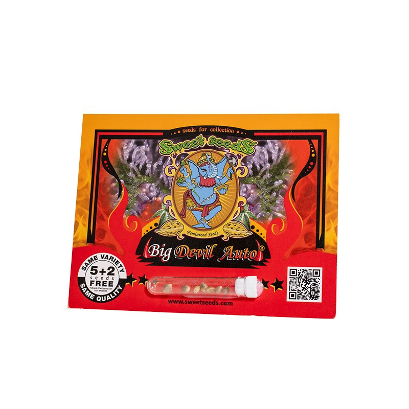 Big Devil Auto - Sweet Seeds, 3+1