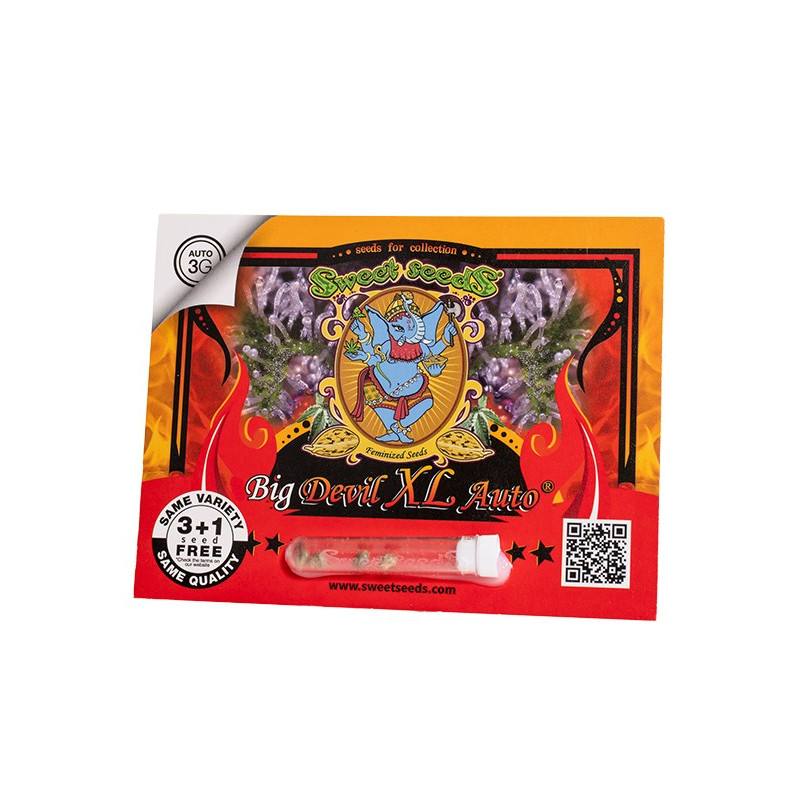 Big Devil XL Auto - Sweet Seeds, 3+1