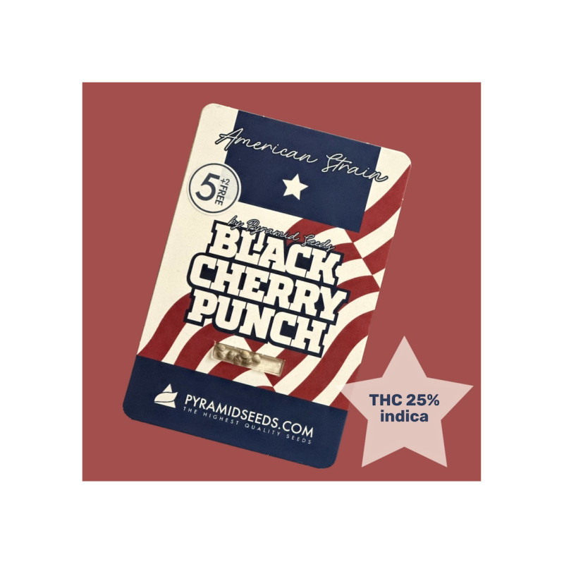 Black Cherry Punch - Pyramid, 3+1