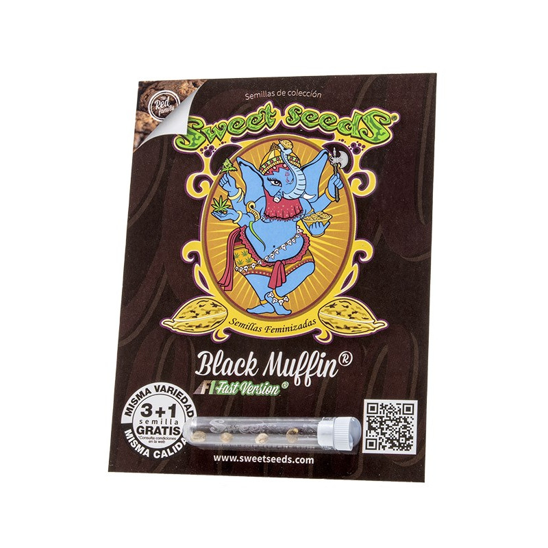 Black Muffin F1 Fast Version - Sweet Seeds, 3+1