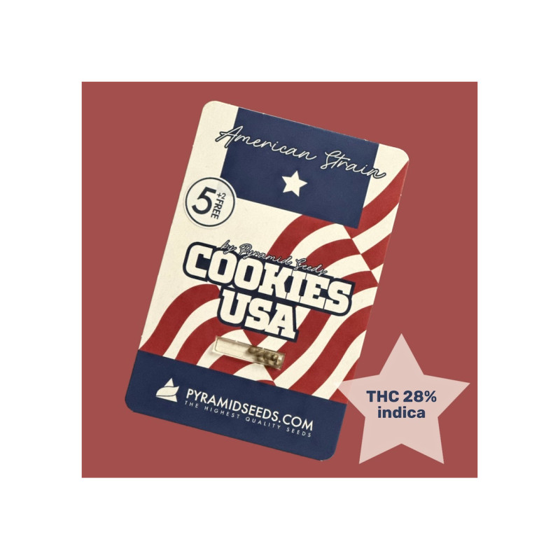 Cookies USA - Pyramid, 5+2