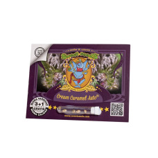 Cream Caramel Auto - Sweet Seeds, 5+2