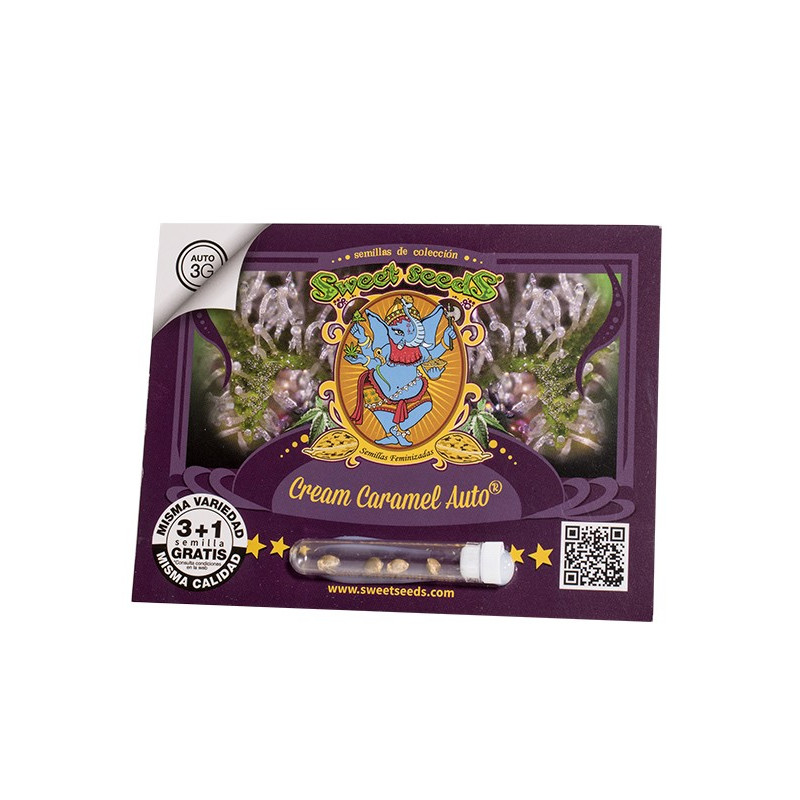 Cream Caramel Auto - Sweet Seeds, 5+2