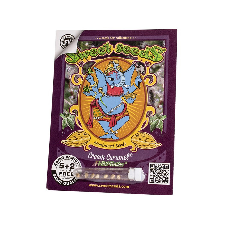 Cream Caramel F1 Fast Version - Sweet Seeds, 5+2
