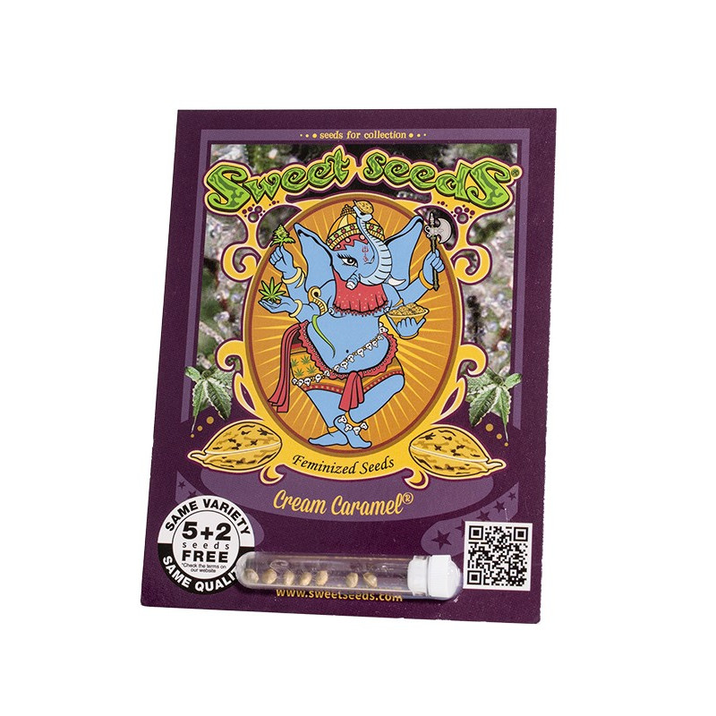 Cream Caramel - Sweet Seeds, 3+1