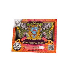 Cream Mandarine XL Auto - Sweet Seeds, 5+2