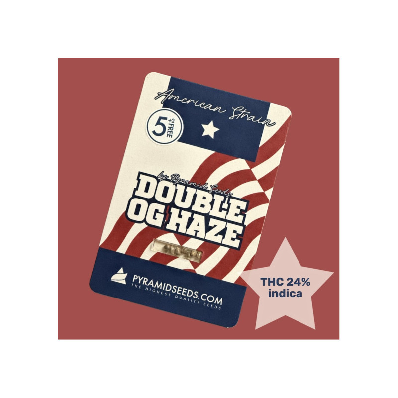 Double OG Haze - Pyramid, 5+2
