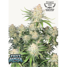 Frostbanger Auto - Fast Buds, 5