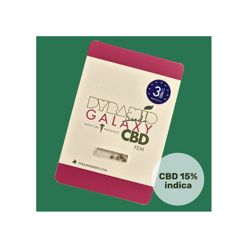 Galaxy CBD - Pyramid, 3+1