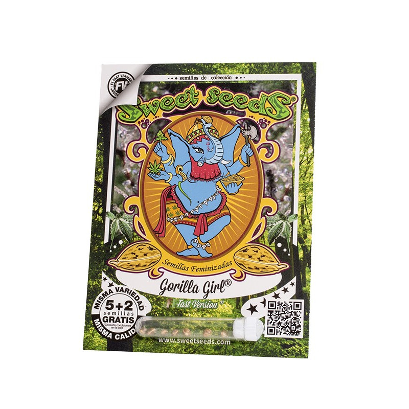 Gorilla Girl F1 Fast Version - Sweet Seeds, 3+1