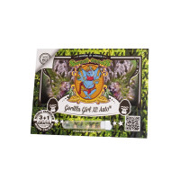 Gorilla Girl XL Auto - Sweet Seeds, 3+1