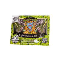 Green Poison XL Auto - Sweet Seeds, 5+2