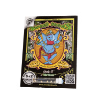 Jack 47 F1 Fast Version - Sweet Seeds, 3+1