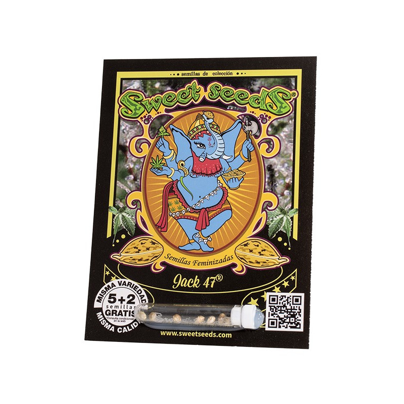 Jack 47 - Sweet Seeds, 5+2