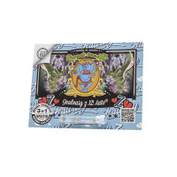 Jealousy Z XL Auto - Sweet Seeds, 3+1